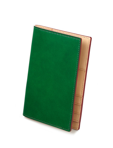Passport Case - green